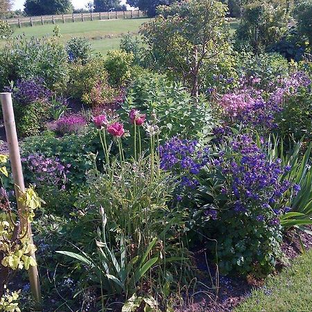 Coxley House Bed and Breakfast Wells Esterno foto