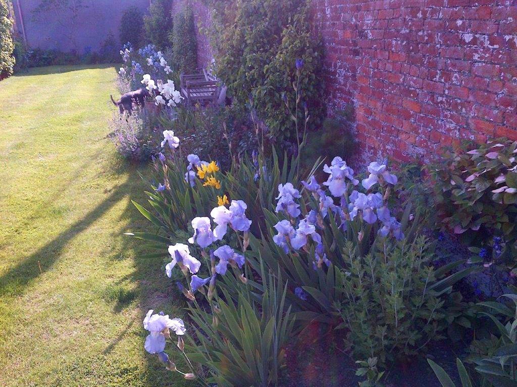 Coxley House Bed and Breakfast Wells Esterno foto