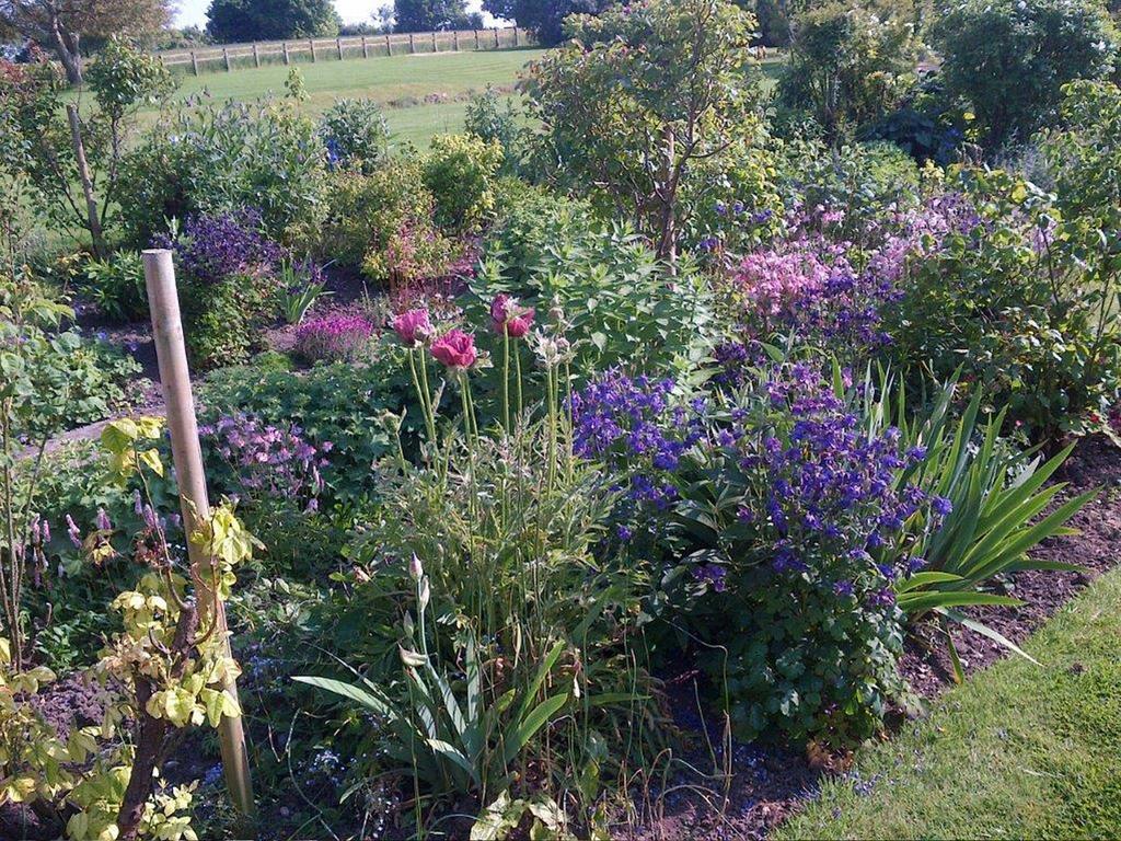 Coxley House Bed and Breakfast Wells Esterno foto